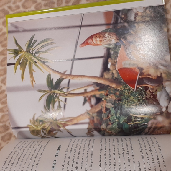 Plant book THE NEW TERRARIUM  CREATING BEAUTIFUL DISPLAYS FOR PLANTS AND NATURE - Picture 6 of 13